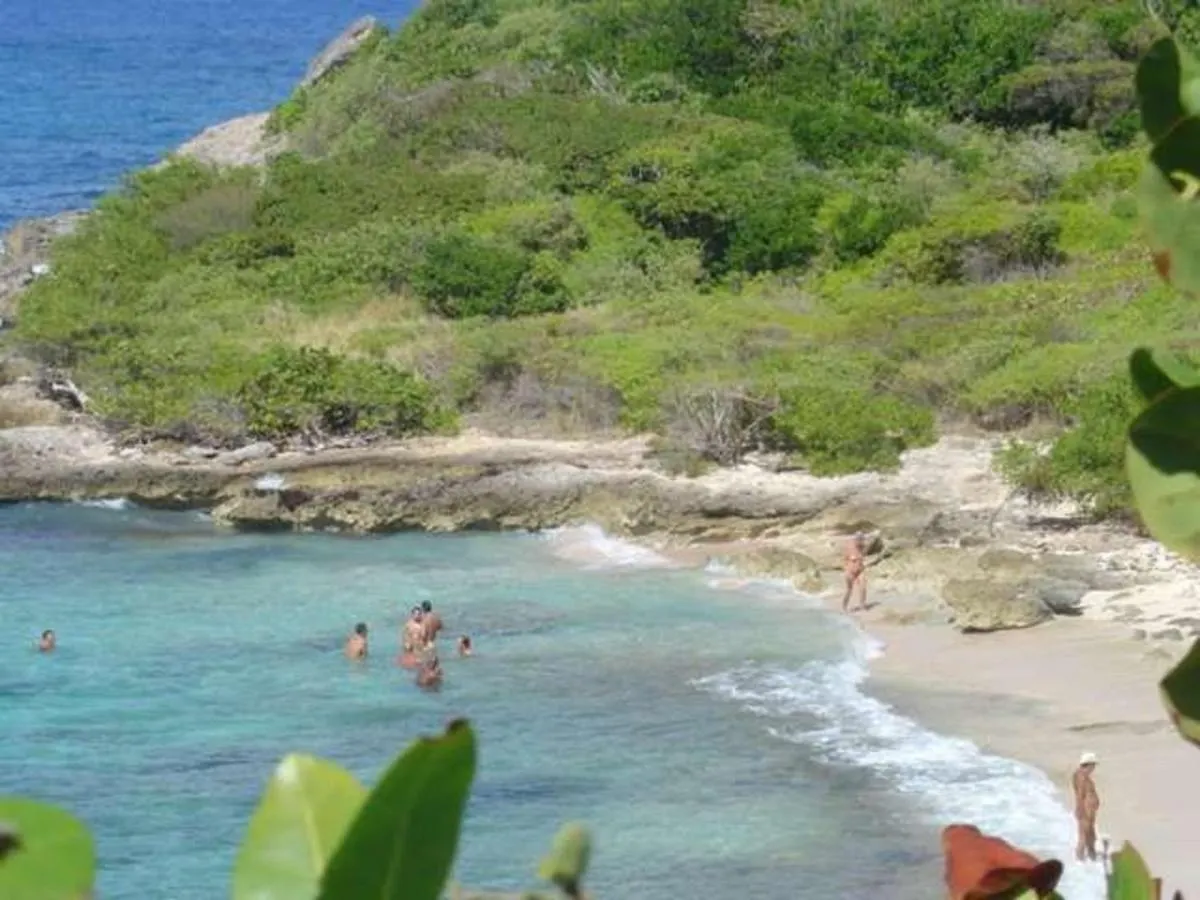 Maison Charmante A Saint-Francois Avec Jardin Et Piscine Partagee 0*, サン・フランソワ