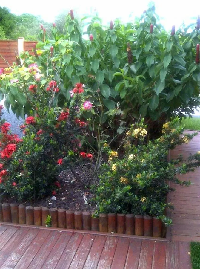 Maison Charmante A Saint-Francois Avec Jardin Et Piscine Partagee